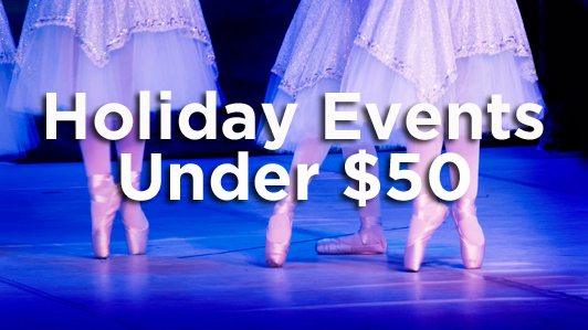 Save extra on all holiday shows this year!